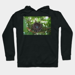 Nest in the Riesling - Magpie Springs - Adelaide Hills Wine Region - Fleurieu Peninsula - Winery Hoodie